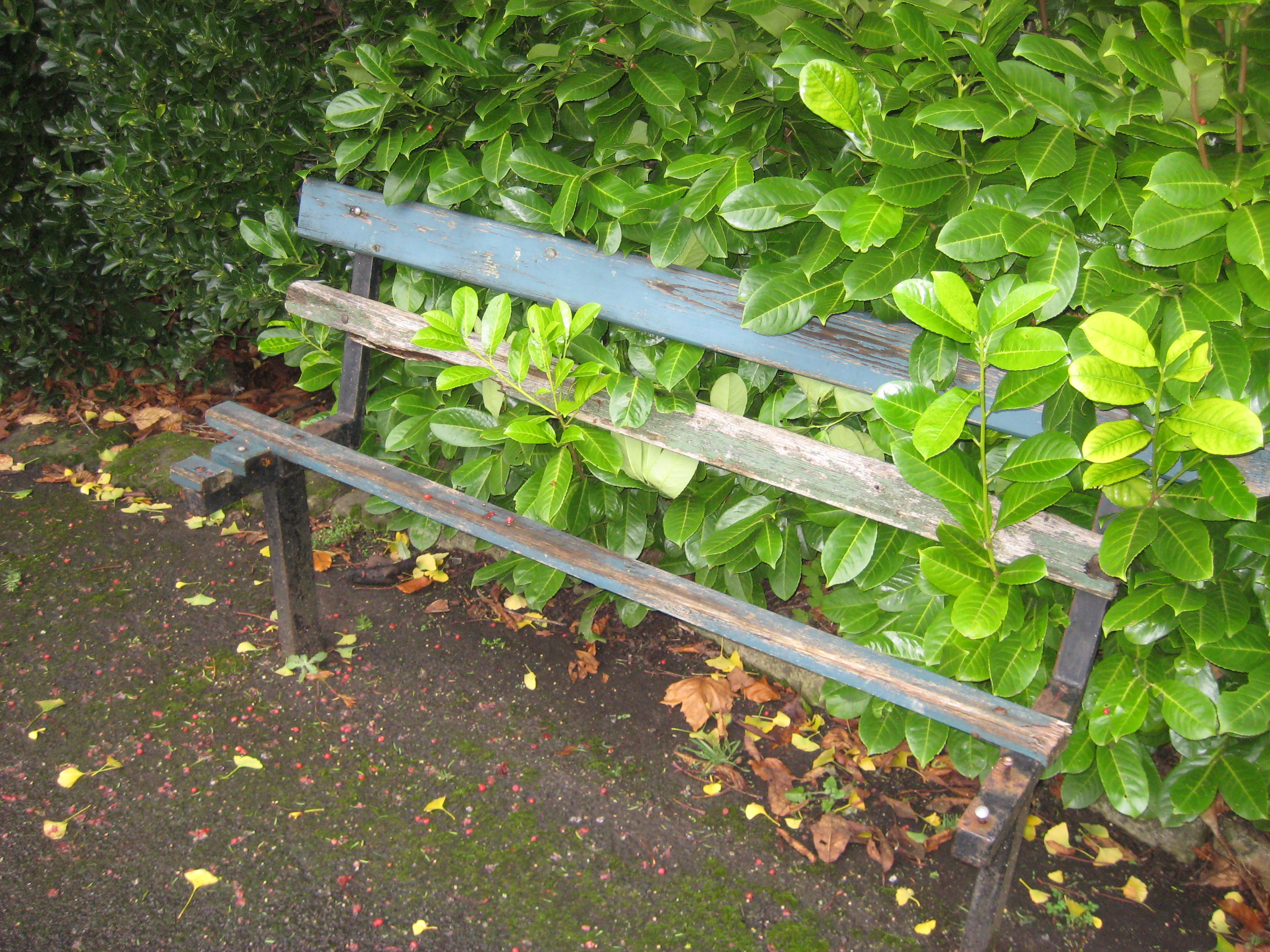 broken bench – BATH NEWSEUM